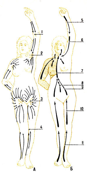 . 97.       :  -    ,  -              (): 1 -  ; 2 -  ; 3 -  ; 4 -  ; 5 -   ; 6 -   ; 7 -  ; 8 -  ; 9 -        ; 10 -     
