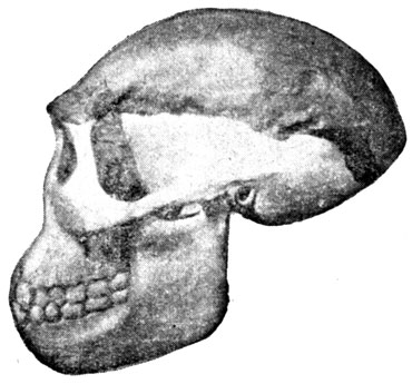 . 32.   I. ( . , 1891 . .)