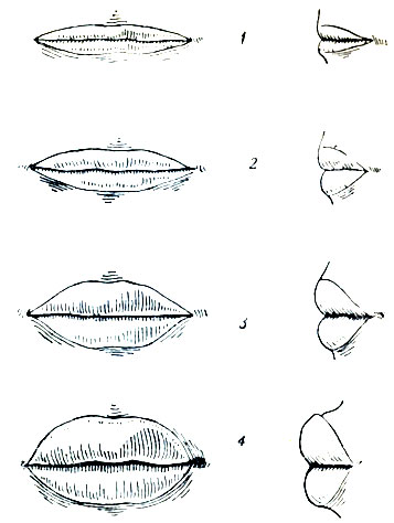 . 88.   : 1 -  , 2 -  , 3 -  , 4 -  