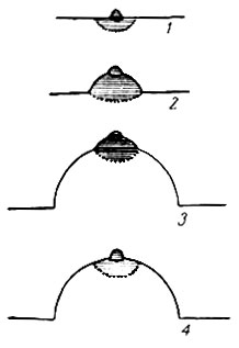 146.     : 1 -  , 2 -  , 3 -   , 4 -   