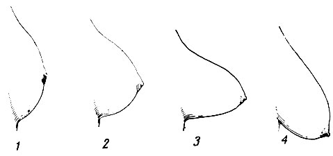 . 147.    : 1 - , 2- , 3 - , 4 - 