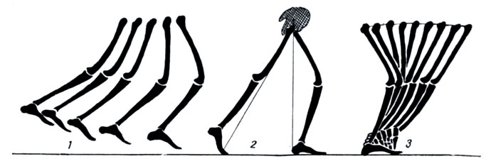 . 207.      : 1 -    , 2 -   , 3 -    