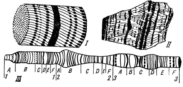 . 6.    : 1 -           ().        (II), III -    (   )    
