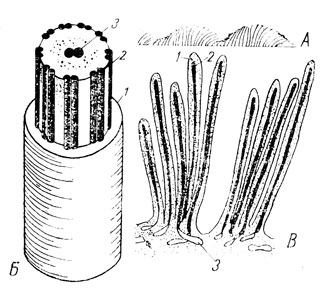 . 11.  -   .  -    : 1 - ; 2 -   (9 ); 3 -   (1 ).  -        .   ; 1 - ; 2 - ; 3 -   