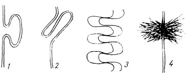 . 14.    . : 1  2 - '', 3 - , 4 - 