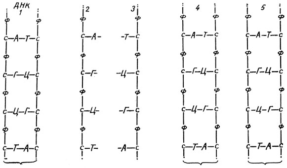 . 23.   (1)    ; 2  3 -     ; 4  5 -   