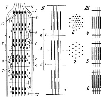 . 55.     . I -   : 1 - ; 2 - ; 3 - ; 4 - ; 5 -   (); 6 -   (); 7 - ; 8 - ; 9 - ; 10 - ; 11 -  ; 12 -  . II -   .  , ,  -  . 1 -     -     , .    ,     3,         . III -       : 4 -  ; 5 -    6 -   