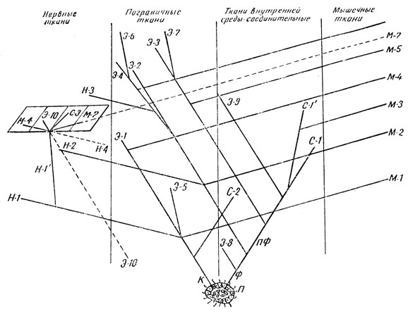 . 66.    ( . . , 1958).  - ,   .  - ;  - ;  -  ; -1- ,  ; -2- ,   (  ); -3- ,     ; -4 - ,   ; -5 - ,   ; -6 -    ; -7 - ,   ; -8-   ; -9-  ; -10 -    ,   ,   ,    ; -1  -1'-  ; -2 -  ,     ; -3 - ; -1 -    ; -1' -  ; -2 -       (  )         (   ); -3 -       ; -4 -     - -  -; -1 -   ,  -       ; -2 - -   ; -3 -    ; -4 -   ; -5 -     ( ); -6 -     , -7 -     
