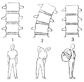 . 8.     : 1 -   ; 2 -     ; 3 -   