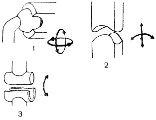 . 10.    : 1 -   (    ); 2 -   (     ); 3 -   (   )
