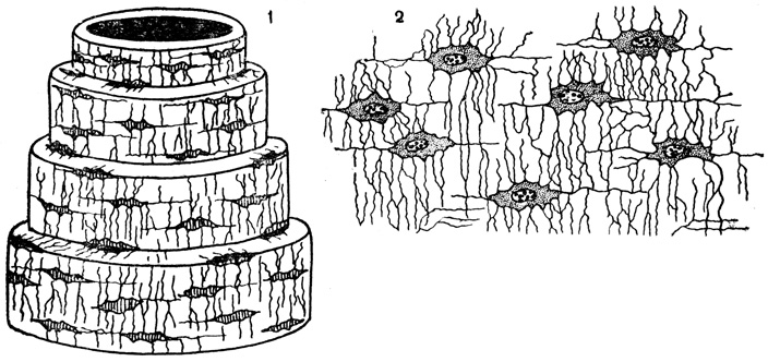 . 11.  : 1 -    ,  ,      ; 2 -   (  )