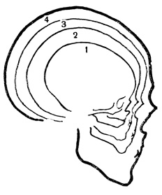 . 15.   : 1 - ; 2 - ; 3 - ; 4 - 