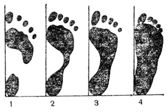 . 24.   (1, 2, 3)   (4) 