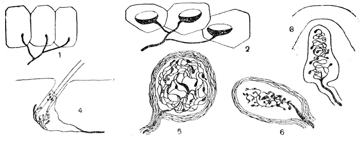 . 36.   (): 1 -    ; 2  3 -  ; 4 -    ; 5 - ,   ; 6 - ,   