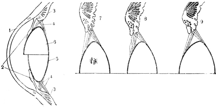 . 42.    : 1 - ; 2 - ; 3 -  ; 4 -  ; 5 -      ; 6 -     ; 7 -  ; 8 -   ,   ; 9 -    ,   