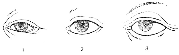 . 43.     : 1 -  ; 2 -   4- ; 3 -   