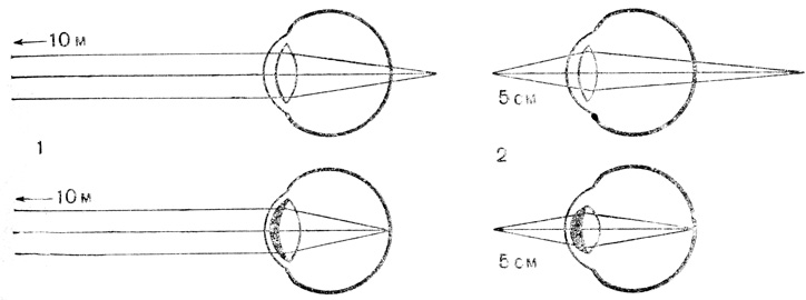 . 48.  : 1 -   (          ); 2 -   (  ,    5 ,        )