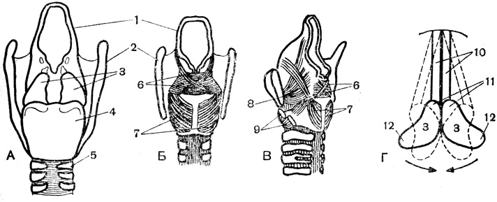 . 76.    :  -   ();    -  (  );  -   ,   ; 1 - , 2 -  ; 3 -  ; 4 -  ; 5 - ; 6-9 ,    (6),   (7),        (8),        (9); 10 -  ; 11 -    ; 12 -  ;  -     ;          