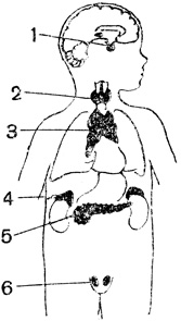 . 89.        : 1 - ; 2 -  ; 3 -  ; 4 - ; 5 -   (); 6 -  