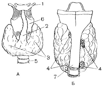 . 90.     ()   (): 1 -  ; 2 -    ; 3 -     ; 4 -  ; 5 - ; 6 -  ; 7 - 