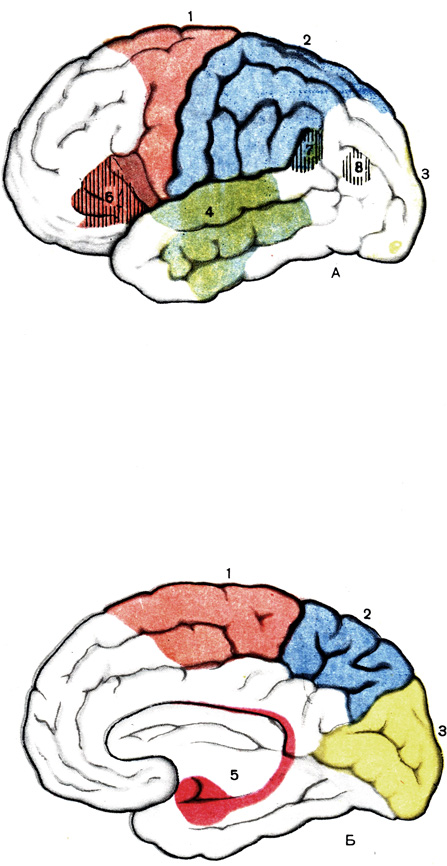  VII.      :  -    ;  -    ; 1 -  ; 2 -   ; 3 -  ; 4 -  ; 5 -    ;    -  (6),  (7),  (8)