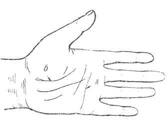 . 2  ,     :  -   II-IV ,  -   I 