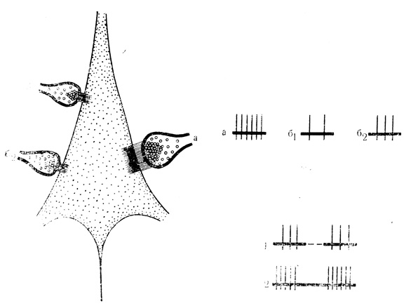 . 1.            ()   (1  2) .                  ' '.    .          . .   . .  (1967)