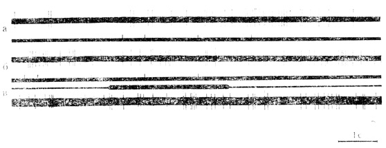 . 3.     , ,  -    2 .         ('').     ()       ()         -     1,7 .     ()     .         .     -      .   -       (. .   ., 1968)