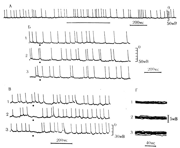 . 5.            .  -    1,3 .     ( )     ,    - ;      ;  -    1,44 .    ()           (250-300 ); 1-3 -  ;  -    1,8 ;       ;            0,9  1  (1-3);  -    1,68 ;   ' '  '' (1)      (2)   (3).        ,    0,9  1  (. . , .  . , 1967)
