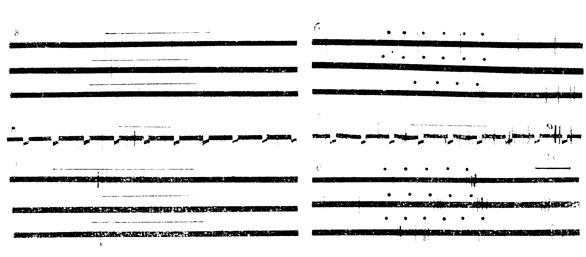 . 14.         ()       .    -    ( )    ()   ;    -       ;    -          (. .   ., 1969)