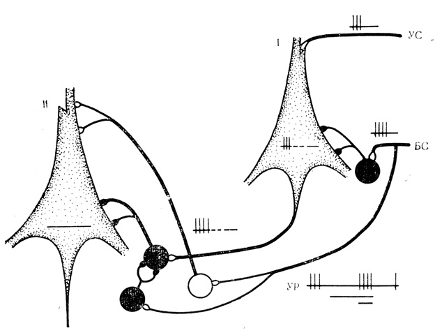 . 22.        . I - '' ,     ()   () ; II - '' ,           ;  -   '' .   -   ,  -   .    