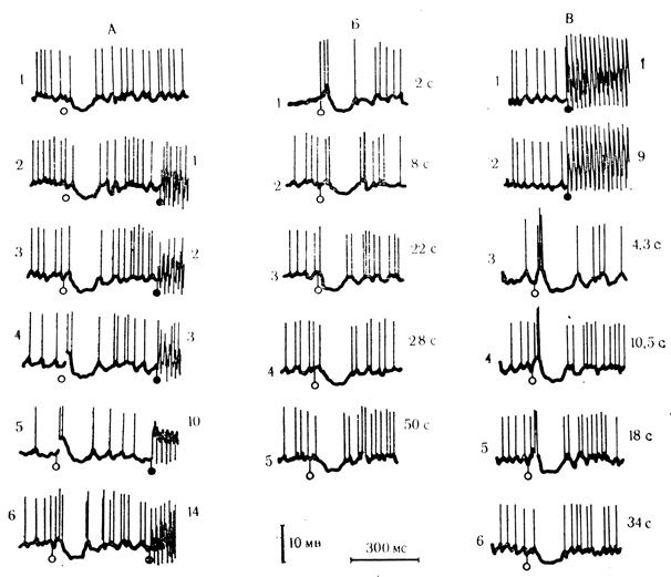 . 24.        (2-4 )    (, )     '' (). : 1 -     ; 2-6 - ;     (900 )  ;       ;  -       ; : 1, 2 -     ; 3-        .     -    (),   ( 1, 2)   ()    (,  3-6).   -   ,  -  (. . , . . , 1971 )