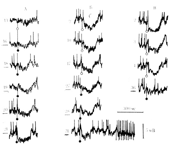 . 25.          (20-120 )   .      ,    .      , 31;        .   -   ;  -        .  -  ,    - .       RC = 0,1  (. . , . . , 1971 )