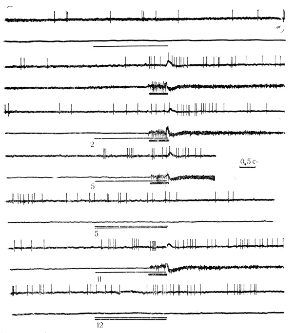 . 27.         ( 200 )      ( 500 ).    1510 .     ,  - ,  -  .    -         .     -       ,   134   50     .   :   -  ; -     (. . , . . , 1973)