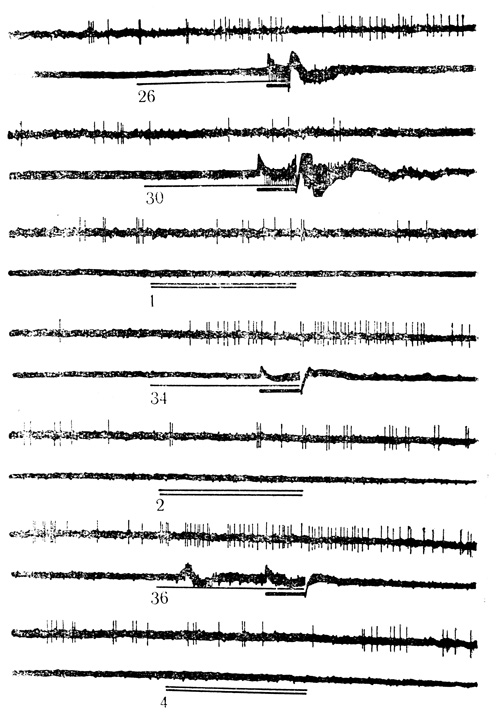 . 31.         ( 30  1 )      ( 10  1 ).    -    .     ,  - ,  -  .      -  ;   -     (. . , . . , 1971)