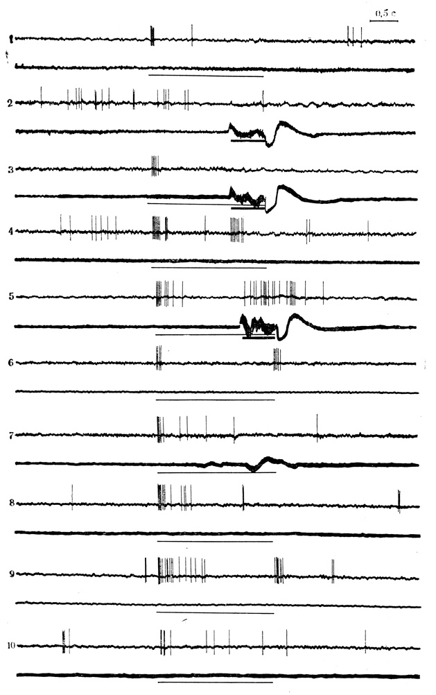 . 34.           ,           . 1, 2 -      ( )    ( ); 3 - 8-   ( 20  1 )  ; 4 -    9- ; 5 - 21- ; 6 - 10 - 4, 15, 20, 25  35-   .   :   -  ,  -     (. . , . . , 1972)