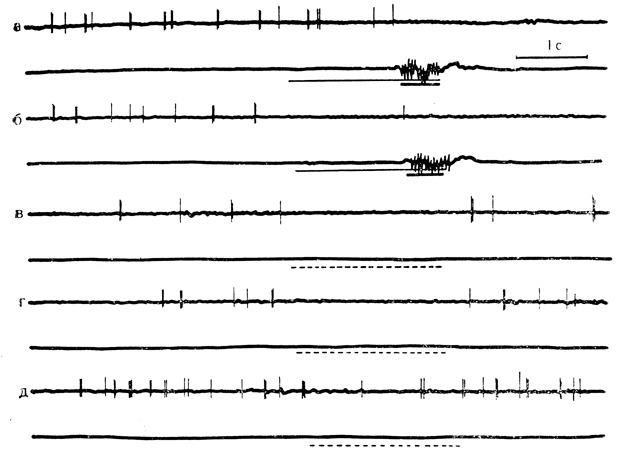 . 46.         .    - 2-  19-   ,   147   ; , ,  -   3    ( )  30-   20- .            (. . , . . , 1970)