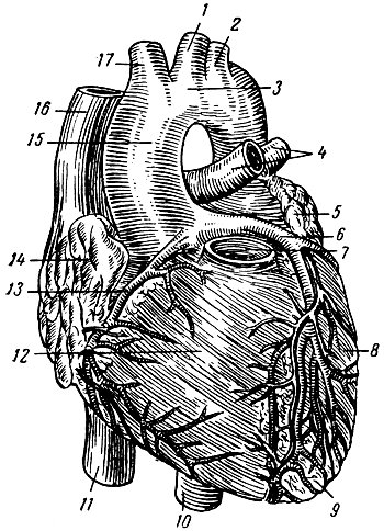    ( ). 1     ; 2    ; 3   ; 4    ; 5   ; 6    ; 7    (); 8   ; 9   ; 10   ; 11    ; 12   ; 13    ; 14   ; 15   ; 16    ; 17    [1959    -  ]