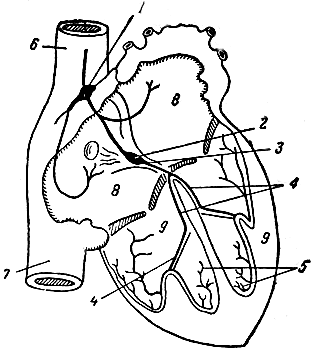   .       . 1   -; 2   -; 3   ; 4    ; 5    ; 6    ; 7    ; 8  ; 9   [1959    -  ]
