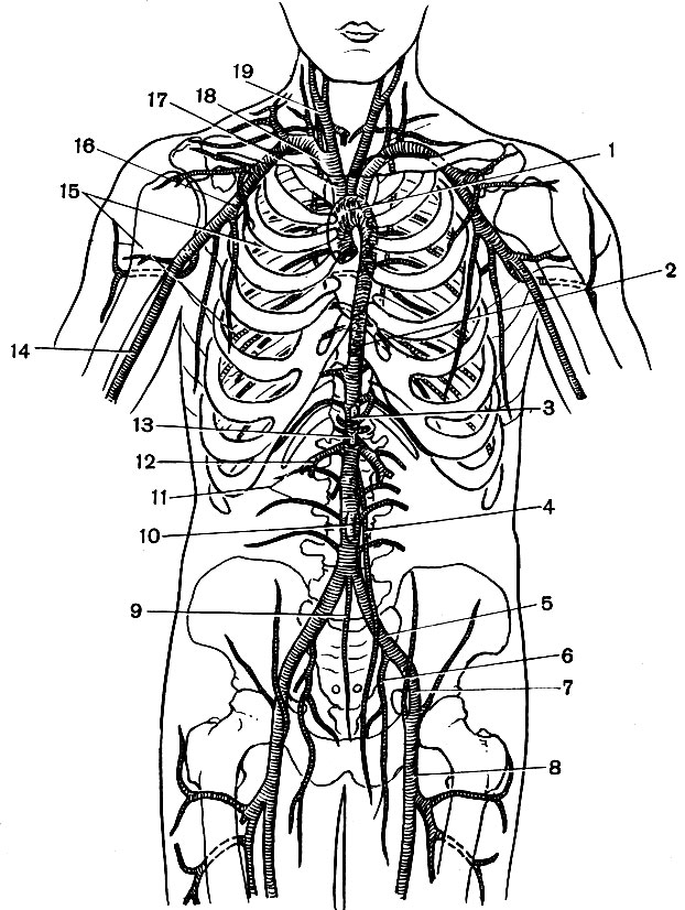 ,    (): 1   ; 2   ; 3   ; 4    ; 5    , 6     7   ; 8   ; 9   ; 10   ; 11  ; 12   ; 13   ; 14  ; 15  ; 16  ; 17   ; 18  ; 19    [1979       -  ]