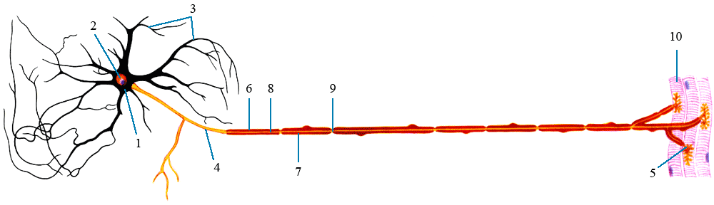  . 1 -  ; 2 - ; 3 - ; 4 -  (); 5 -   ; 6 - ; 7 - ; 8 -  ; 9 -  ; 10 -  [1978     -    1, 1959    -  ]