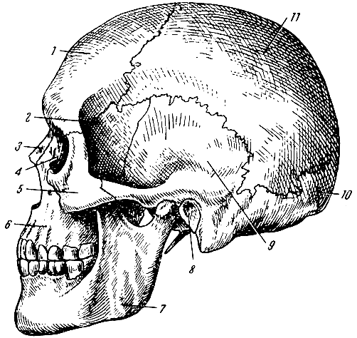  ( ). 1 -  ; 2 -   ( ); 3 -  ; 4 -  ; 5 -  ; 6 -  ; 7 -  ; 8 -   ; 9 -  ; 10 -  ; 11 -   [1967    -   ]