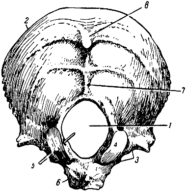   (). 1 -   ; 2 - ; 3 -  ; 4 - ; 5 -   ; 6 -  ( ); 7 -   ; 8 -    [1967    -   ]