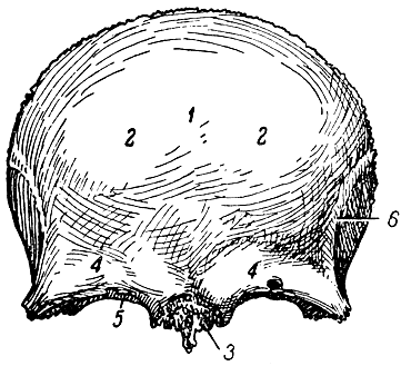   ( ). 1 - ; 2 -  ; 3 -  ; 4 -  ; 5 -  ; 6 -   [1967    -   ]